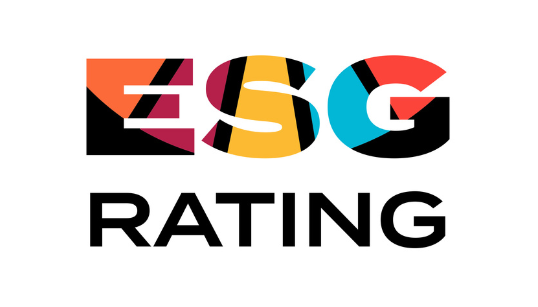 This Year’s ESG Rating From the Hands of CEMS VSE in Marketing & Media