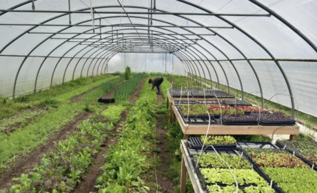 The CSR in Practice course has turned into an eye-opening journey. It always does! What have the students learned this time?