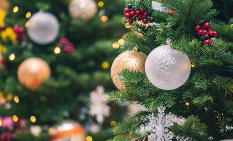 Christmas Opening Hours of Campus and Services at VŠE